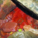 개인약수 이미지