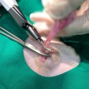 뉴케어 동물병원 이미지