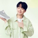 바로인