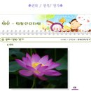 참좋은유치원 이미지