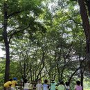 [바깥놀이] 무양공원 유아숲 놀이터 6.14 ◡̈ 이미지