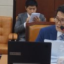 시각장애인 이미지