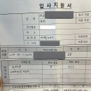 입사 이미지