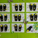 춘천중앙노인복지센터 이미지