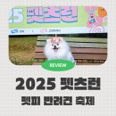 호수공원 호수광장 | 일산 호수공원 문화광장 2025 펫츠런 즐기기