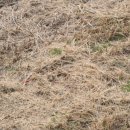 GS25반지사거리점 이미지