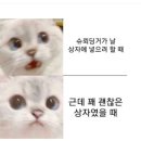 슈뢰딩거 이미지