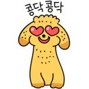 바다동물병원 이미지