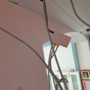 안락중학교 이미지