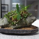 안덕중학교 이미지