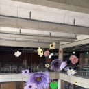 만천로 1L | 올데이스테이 내돈내산 춘천 대형카페 후기
