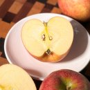 대봉상회 이미지