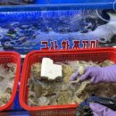 국산길 | 노량진수산시장 '복띵이수산' 국산활쭈꾸미 내돈내산 후기(어른들의 두쫀쿠)