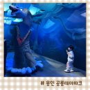화산떡 방앗간 | 용인 아이와 실내 가볼만한곳 기흥 리빙파워센터 다이노베이 공룡테마파크