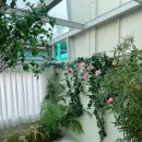 담양스테이 이미지