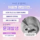 바로일성형외과의원 이미지