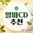 알파CD 추천, 어떤 제품을 골라야 후회가 없을까?