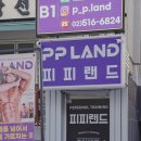 피피랜드 이미지