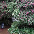 그랜드화원 이미지