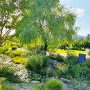 식물원 정자옆 이미지