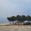 공현진1리 해변 야영장 이미지
