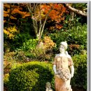 순천 화가의 정원 산책 이미지