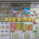 딸기공인중개사사무소 이미지