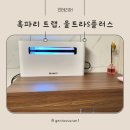 혹파리 날파리 트랩, 울트라S플러스 실사용 후기 (내돈내산)
