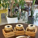 신세대휴게소 이미지