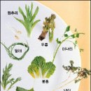 스튜디오두릅 이미지