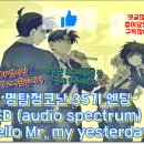 Hello Mr. my yesterday(명탐정코난35기ED) audio spectrum 이미지