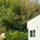 스테이숲숲 이미지