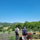 정솔농장 이미지