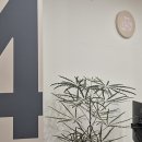 샘연합의원 이미지