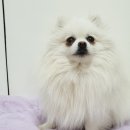 도야동물병원 이미지