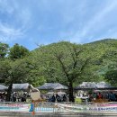 도계광장 이미지