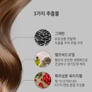 그린헤어 이미지