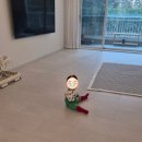 울트라크리닝 | 로보락 S10 MaxV울트라 냄새 해결 후기 (사소시각 로보락 세제, 로봇청소기 세제 추천)