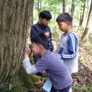 흥양초등학교 이미지