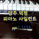 피아노진 | 양주시 피아노 조율, 피아노 사일런트 장착 후기