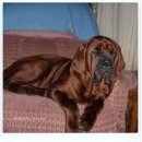 유순농장 이미지