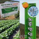 장전2리 이미지