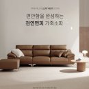 동서사무용가구 | 오래 사용할 소파 찾는다면 동서가구 뉴테라 천연면피가죽 소파! 다양한 색상 고를 수 있어요