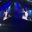2025 Doyoung yours 도영 유어스 올콘 후기