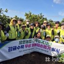 효돈농업협동조합 이미지