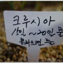 아선재 이미지