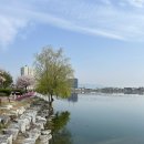 소이체육공원 | 대구에서 행복한 소이 생일파티 (월간밀, 오에일 Oeil)