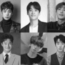 개와 고양이 이미지