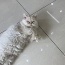 정 동물병원 이미지