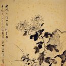 사군자 국화 이미지